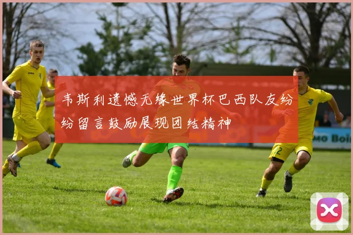 韦斯利遗憾无缘世界杯巴西队友纷纷留言鼓励展现团结精神