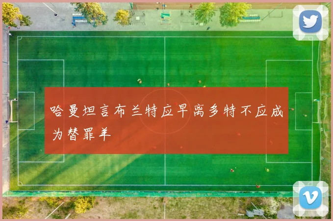 哈曼坦言布兰特应早离多特不应成为替罪羊