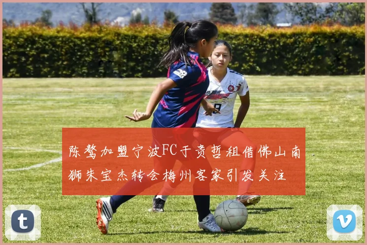 陈骜加盟宁波FC于贵哲租借佛山南狮朱宝杰转会梅州客家引发关注