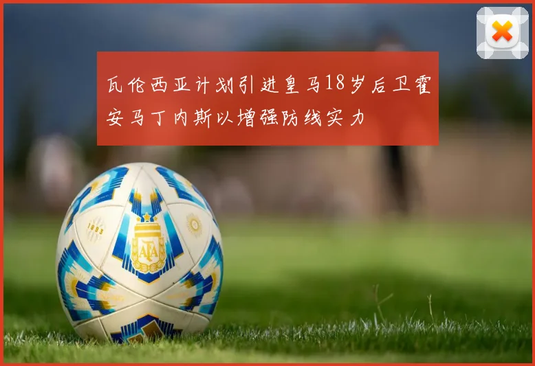 瓦伦西亚计划引进皇马18岁后卫霍安马丁内斯以增强防线实力